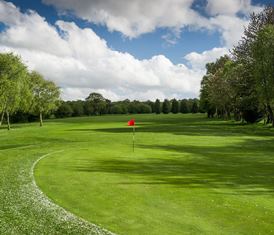 SwingIntoSpring_2014_AddingtonCourt