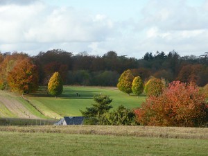 Effingham Golf club