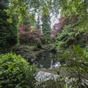 SH Ornamental Garden 6-4